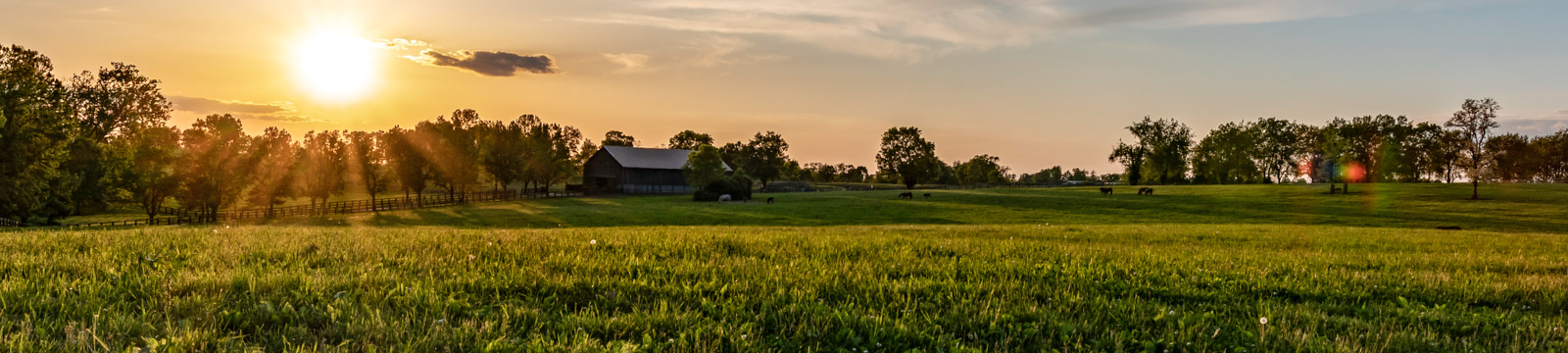 Image of sunset over farm field.